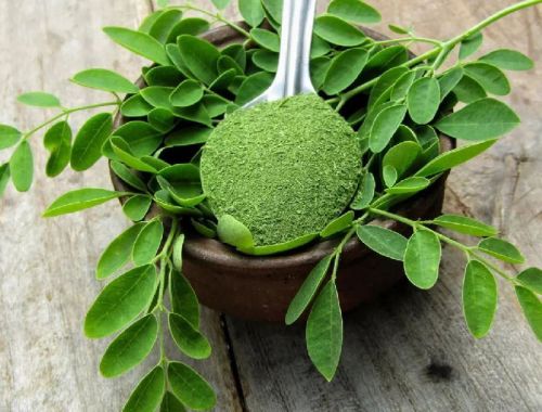 Moringa leaf powder, Packaging Type : Green, Purity : 100%