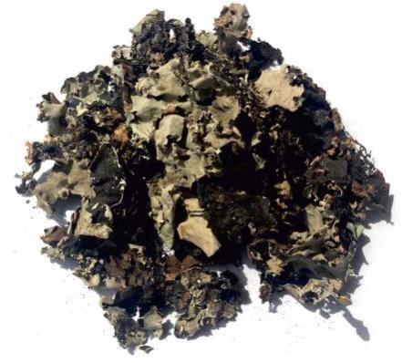 Common Black Stone Flower, For Cooking, Spices, Food Medicine, Packaging Type : Paper Box