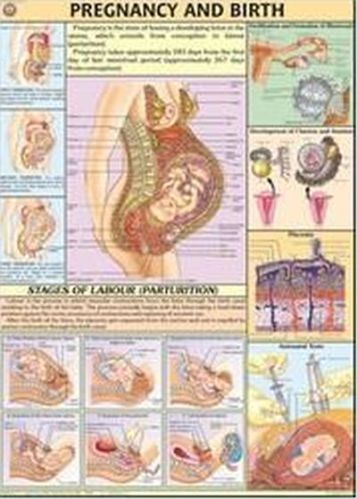 Rectangle Medical Discrepancies Charts, Feature : Easily Visible, Easy To Use