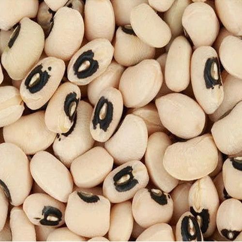 Organic Black Eyed Beans, Certification : NPOP Certified