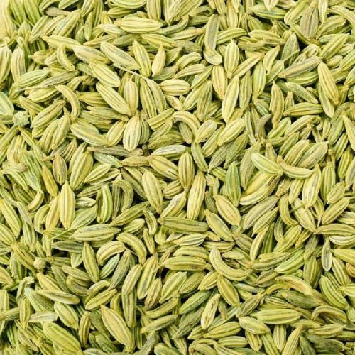 Organic Fennel Seeds