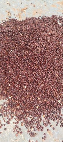 Tamarind Seeds, Packaging Size : 50kg