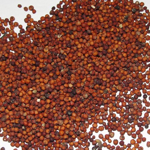 Red Natural Ragi Seeds, For Cooking, Cattle Feed, Style : Dried