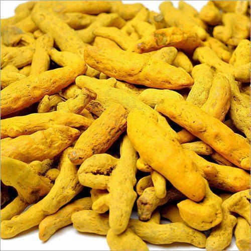 Unpolished Organic Turmeric Finger, For Cooking, Spices, Food Medicine, Cosmetics, Packaging Type : Plastic Packet