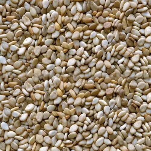 Spice Nuts white sesame seeds, Packaging Type : Loose for Cooking