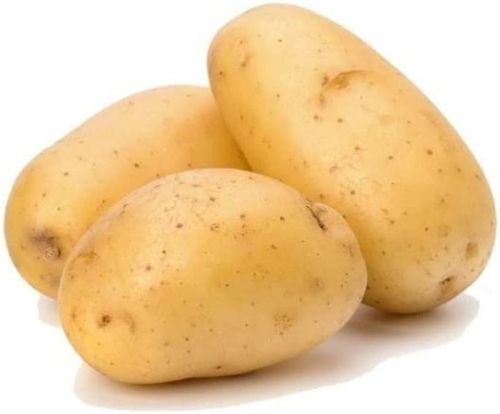 Oval Common Fresh Potato, For Human Consumption, Packaging Type : Gunny Bag