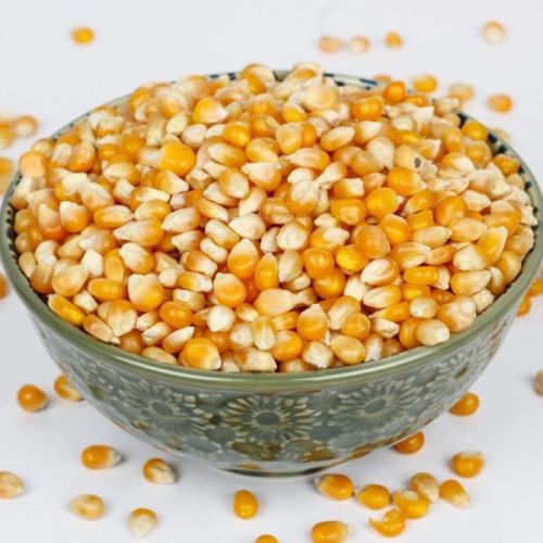 Yellow Common Maize Seed, For Human Consumption, Style : Dried