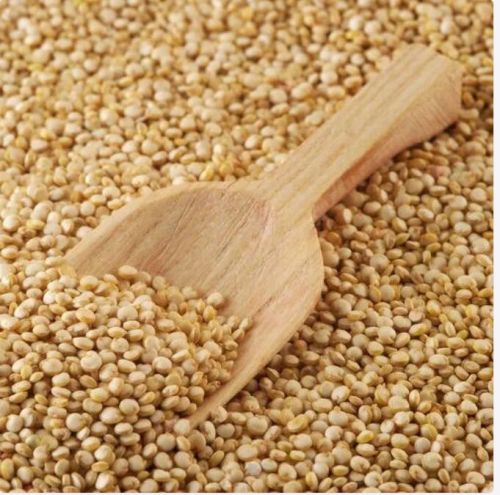 Common Amaranth Seed, For Cooking, Food, Packaging Type : Gunny Bag, Jute Bag, Plastic Bag, PP Bag