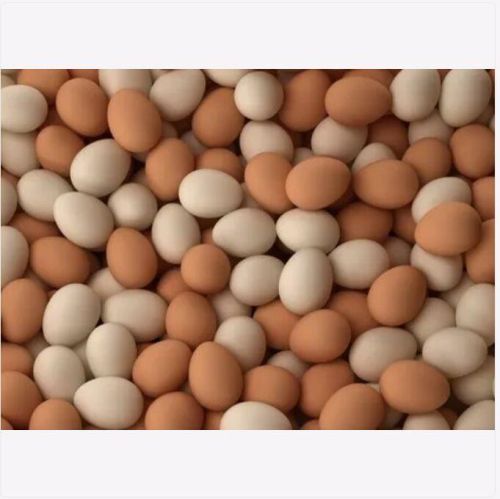 OEM Common Chicken Eggs, For Bakery, Cooking, Packaging Type : Poultry Trays