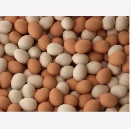 OEM Fresh Chicken Brown Eggs, Packaging Size : 10kg, 1kg, 20kg