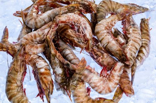 Light Brown Prawns, For Cooking, Serving, Packaging Type : Plastic Caret