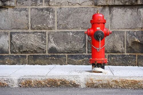 MS Fire Hydrant, Color : Red