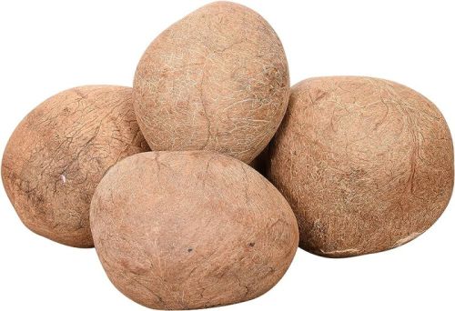 Brown Dried Copra Coconut, Shelf Life : 12 Months