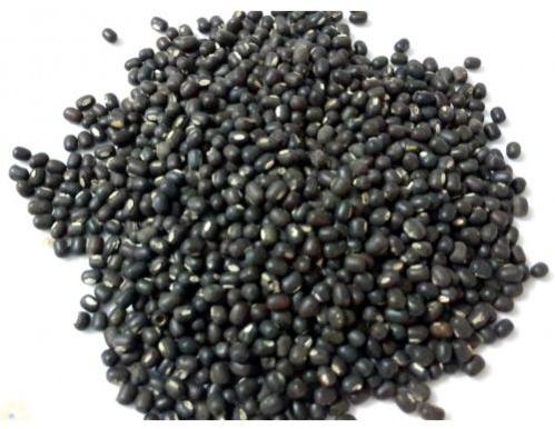 Natural Urad Dal, For Cooking, Packaging Type : Plastic Pouch