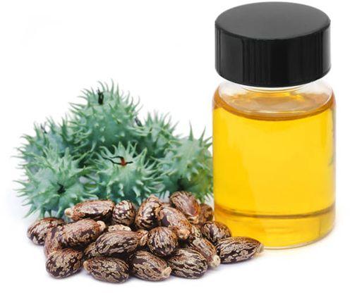 Castor Oil Seeds, Style : Dried