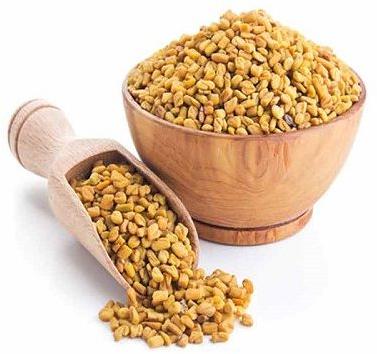 Fenugreek Seeds, Packaging Type : Plastic Packet