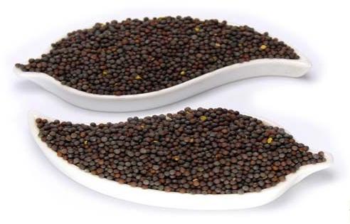 Organic Mustard Seeds, Packaging Type : Plastic Packet