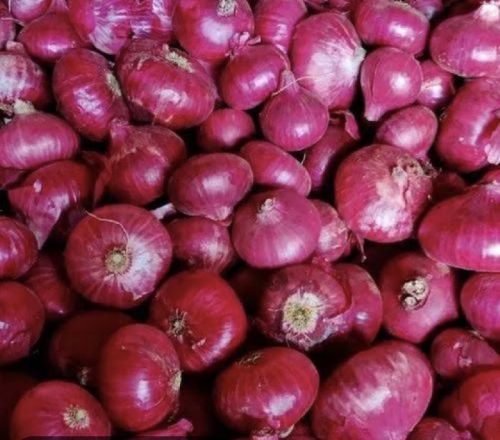 Onion, Packaging Size : 10 Kg To 50 Kg