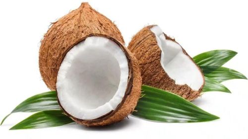 Brown Solid Organic Fresh Coconut, For Pooja, Cooking