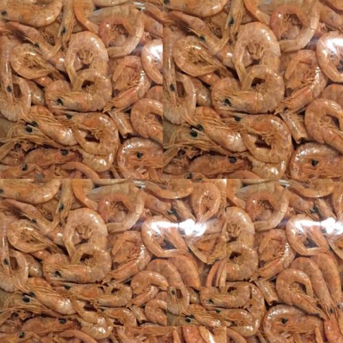 Dry Shrimps, For Cooking, Food, Making Oil, Feature : Non Harmful