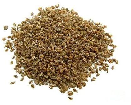 Raw Organic Celery Seeds, For Spices, Grade Standard : Food Grade