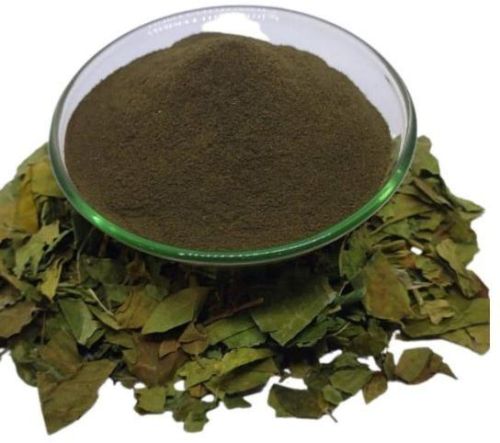 Organic Gymnema Sylvestre Extract Powder, Grade Standard : Medicine Grade