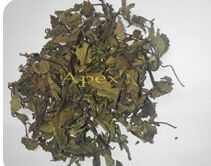 APEX Java Tea, Packaging Type : Plastic Packet