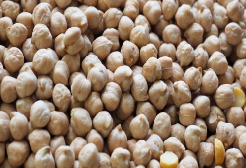 Organic Kabuli Chana, For Home, Hotel/Restaurant, Color : White