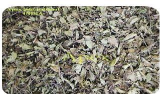 Natural Passiflora Incarnata, Packaging Size : 10-20kg, 20-25kg, 5-10kg