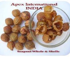 Dried Soapnuts, For Cleansing Lotion, Protein Shampoo, Washing Cloths, Form : Shell