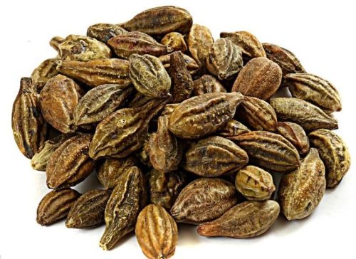 Solid Terminalia Chebula Yellow (Myrobalan), Shelf Life : 6 Months