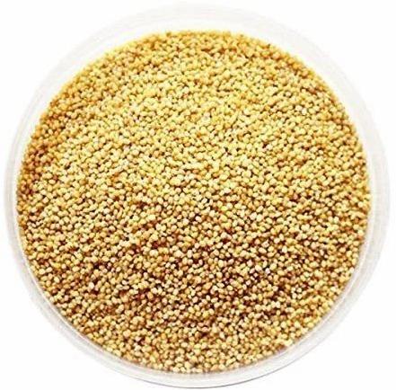 Organic Foxtail Millet, For High In Protein, Packaging Size : 1 Kg