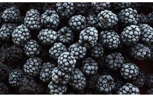 Frozen Blackberry, For Human Consumption, Packaging Type : Plastic Packet