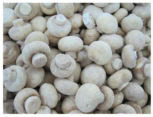 Common Frozen Button Mushroom, For Cooking, Color : Creamy