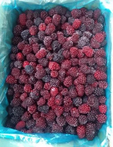 Frozen Mulberry, Taste : Light Sweet, Sour