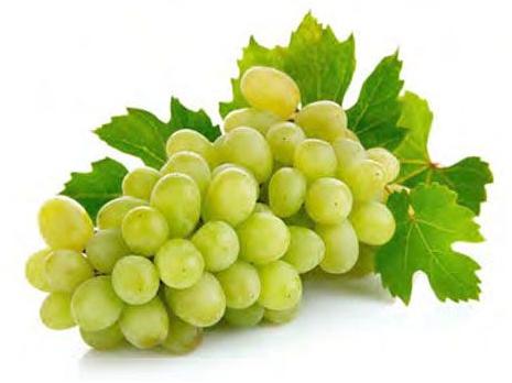 Organic Fresh Grapes, For Human Consumption, Color : Green