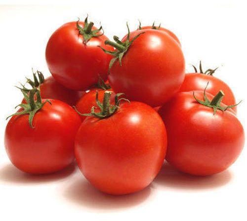 Organic Fresh Tomato, Shelf Life : 7-10days