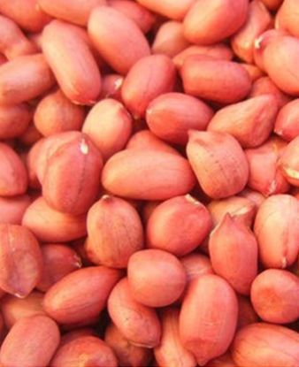 Java Peanuts, Packaging Size : 25 Kg, 50kg