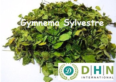 Green Organic Gymnema Sylvestre Leaves, For Medicinal, Packaging Type : Plastic Bag