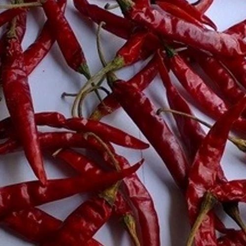 Natural Premium Teja Red Chilli, For Food, Style : Dried