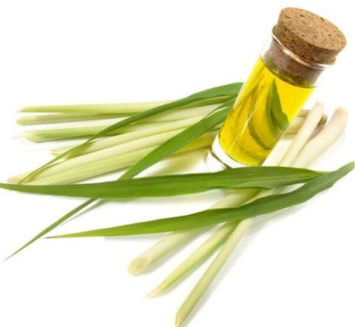 Organic Natural Lemon Grass Oil, Feature : Purity, Freshness