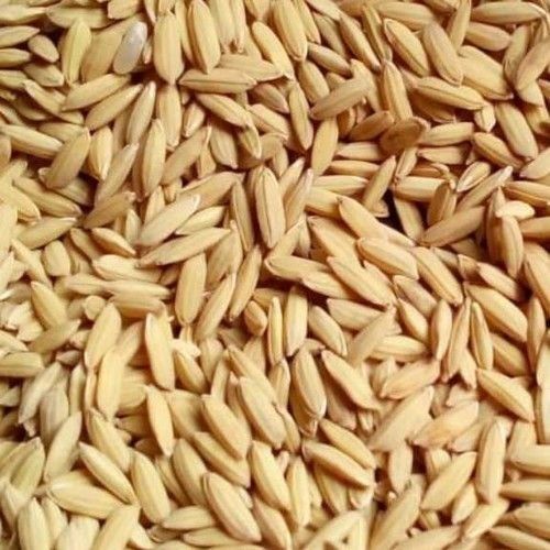 Paddy Seeds, For Animal Feed
