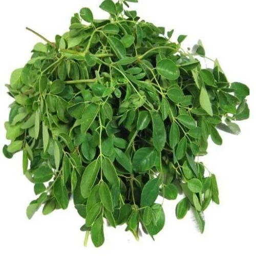 Dark Green Moringa Leaves, For Medicine, Packaging Type : Bag