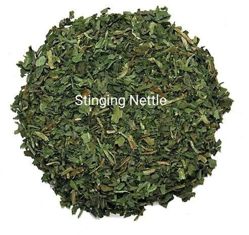 Nettle Leaf Tea, Color : Green