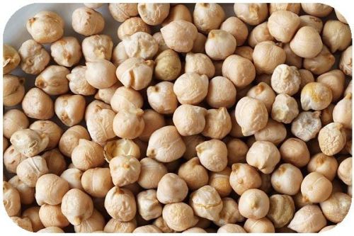 Organic White Chickpeas, Packaging Type : Plastic Packet