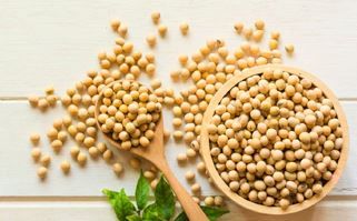 Round Organic Soybean Seeds, Style : Dried