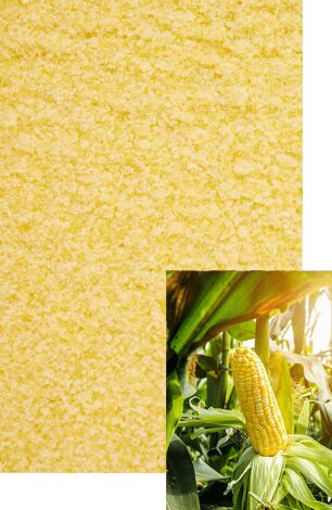 Corn Flour, Packaging Type : PP Bag