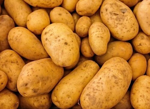 Organic Fresh Potato, For Cooking