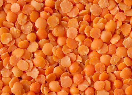 Red Lentils, For Cooking, Feature : Nutritious, Healthy To Eat