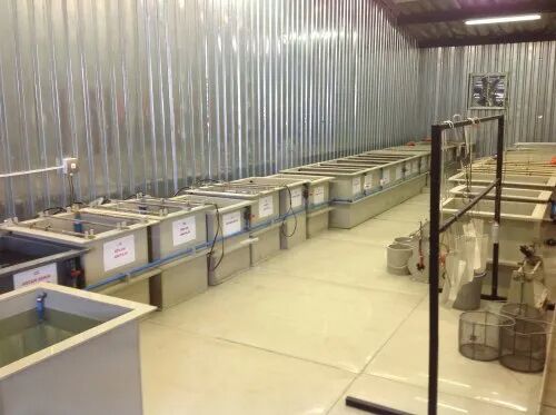 Silver Plating Plants, Voltage : 380V